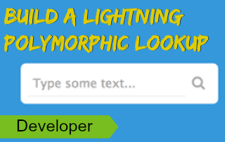 Lightning Polymorphic Lookup