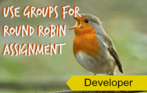 Round Robin Assignment Using Public Groups in Salesforce