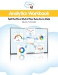 Salesforce.com Analytics Workbook