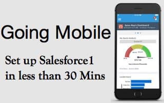 Going Mobile: Setup Salesforce1 in Less Than 30 Minutes