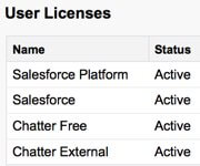 Salesforce User Licenses